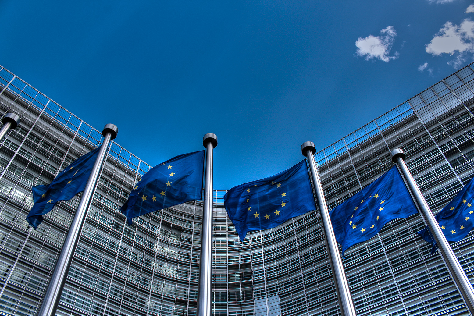European_Union_Flags_2a